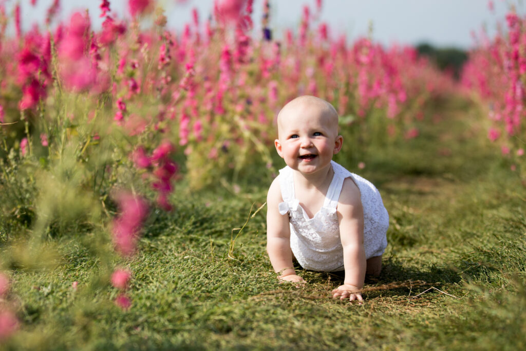 baby crawling through pink flowers at pershore confetti fields