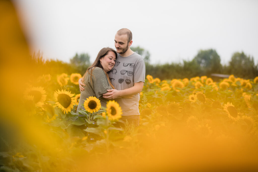 couple hugging romantically surrounded by sunflowers