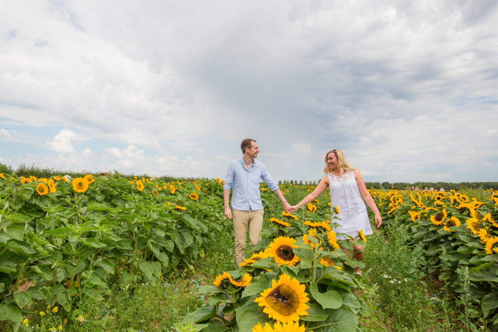 couple walking through sunflowers at pershore confetti fields