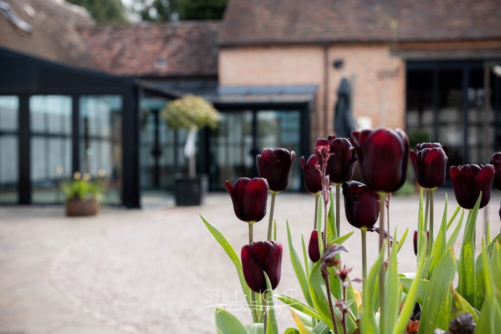 tulips outside redhouse barn on spring wedding day