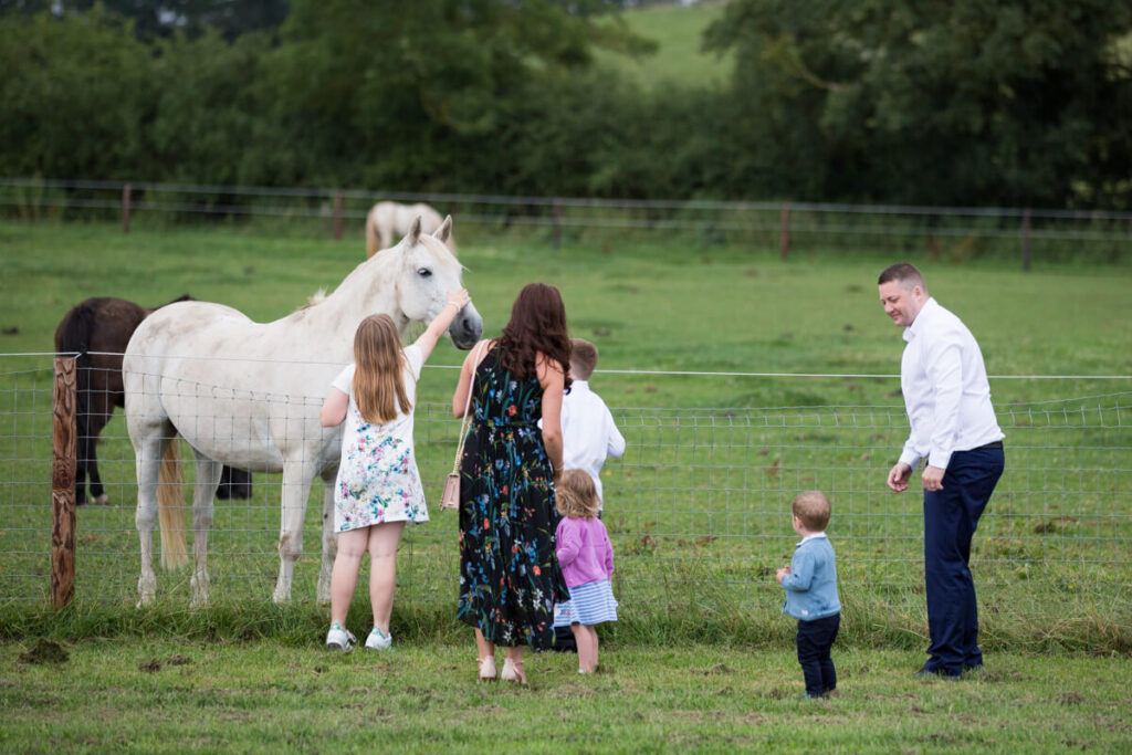 wedding guests facing away from camera petting a white horse in a field at wootton park