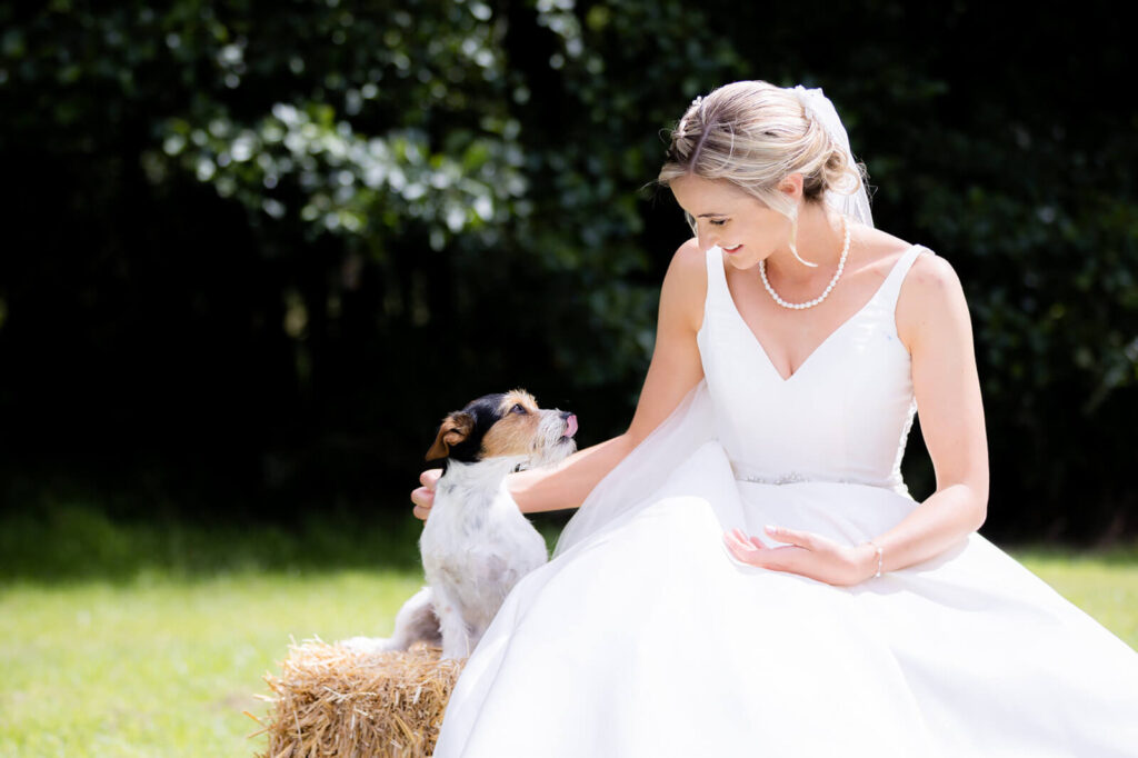 bride and her little dog sitting together on wedding day at dog friendly wedding venue